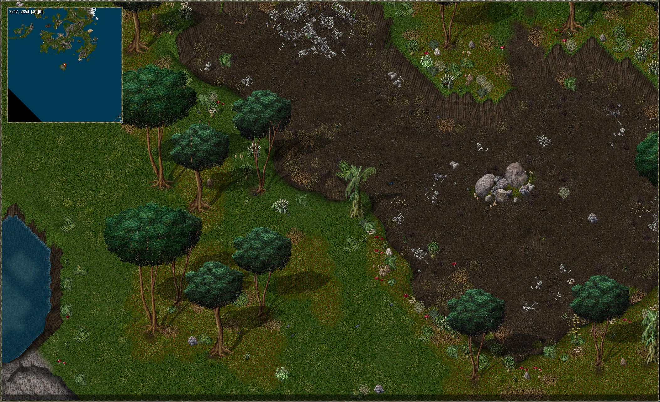 birdisland.jpg