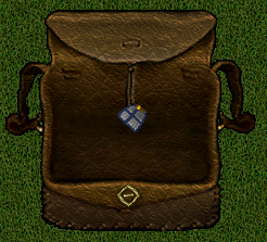 2025-10-18_16_22_01-monkey_-_classicuo_-_1.1.0.0_-_connection_3629.png